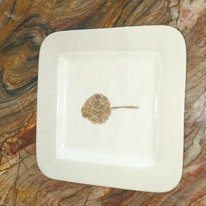 TAG Square Plate dish